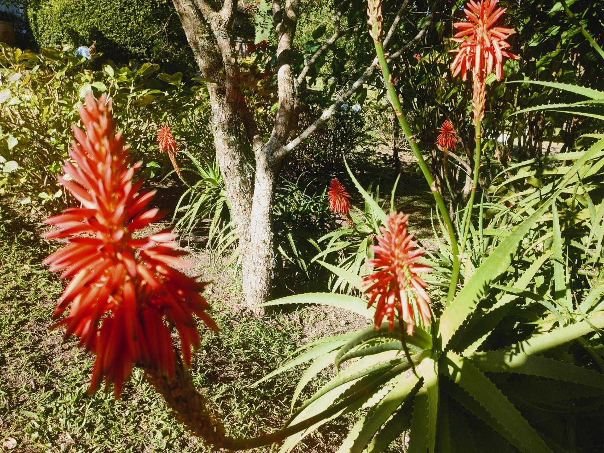 Chales Vinhas Da Harmonia Villa Cunha Esterno foto