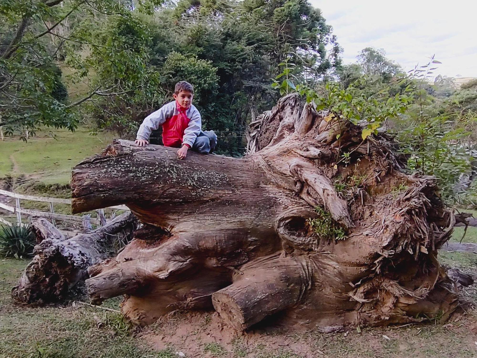 Chales Vinhas Da Harmonia Villa Cunha Esterno foto