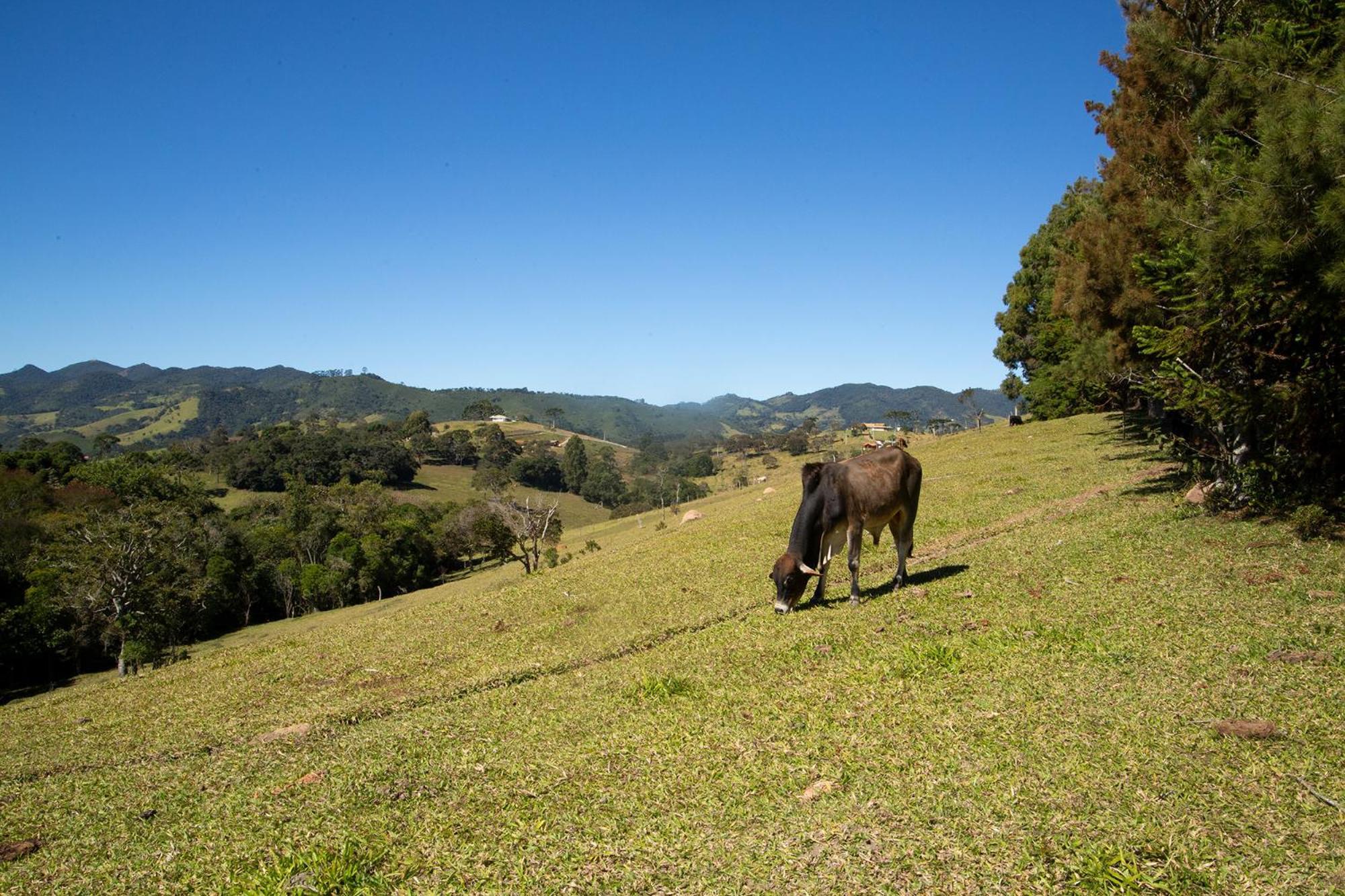 Chales Vinhas Da Harmonia Villa Cunha Esterno foto